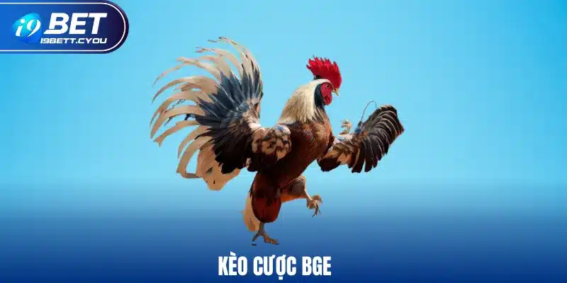 Kèo cược BGE